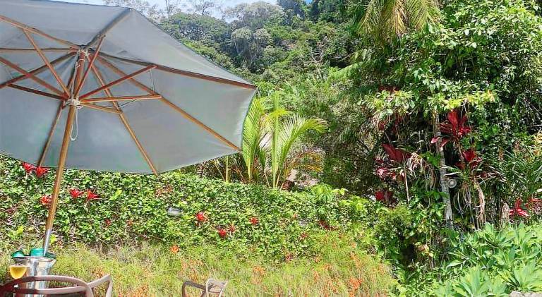 Villa Violeta — photo 4