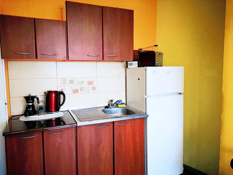 Apartment with 1 room for 4 persons — photo 4