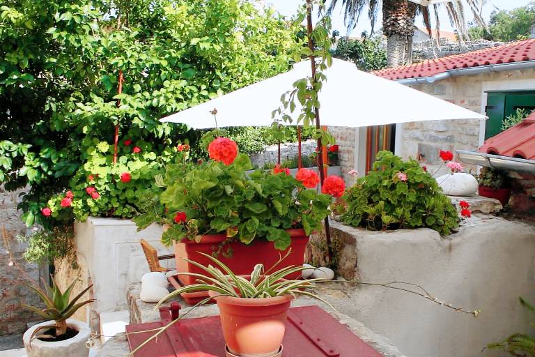 Studio with terrace | Pets allowed — photo 2