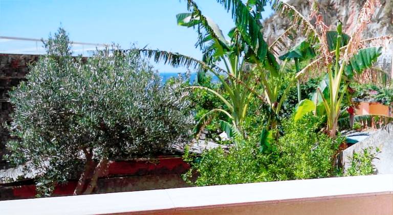 Vacation home with 2 rooms for 4 persons — photo 4