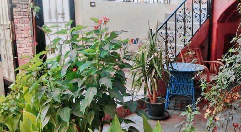 Wonderful holiday apartment | Close to Luxor Temple | Pets allowed — photo 4
