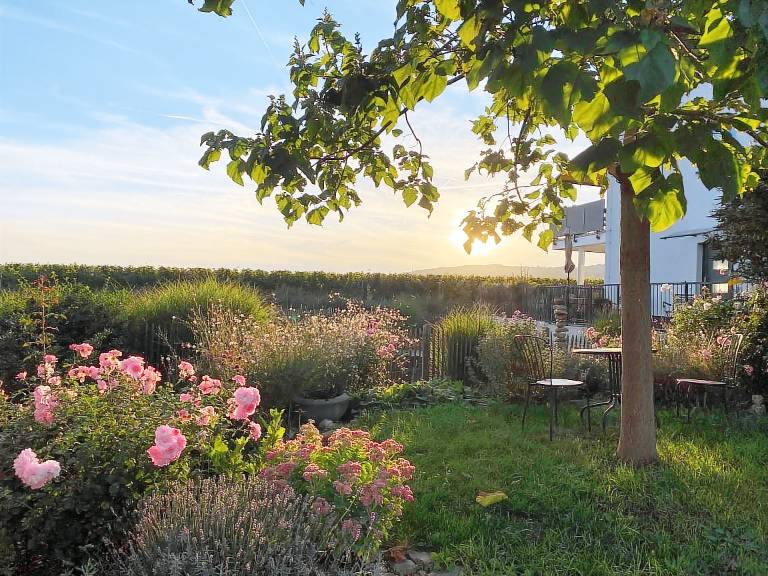 Ferienwohnung Geisenheim