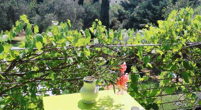La verdine — photo 3