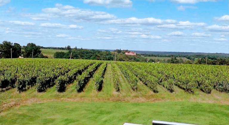 Le Coteau Des Sens — photo 4