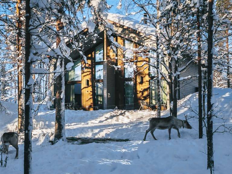 Ferienhaus Rovaniemi