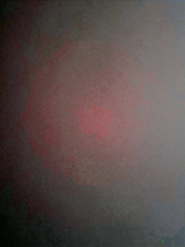 foto14