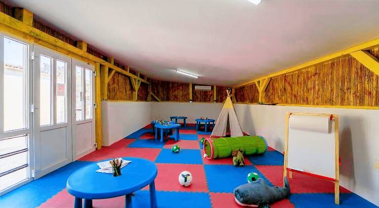 Terra Park Phalaris Pitches — photo 5