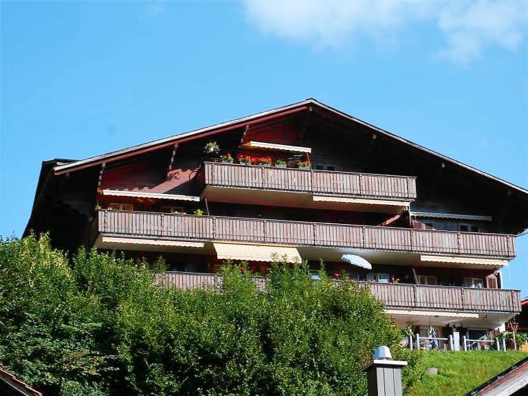 Apartment  Zweisimmen