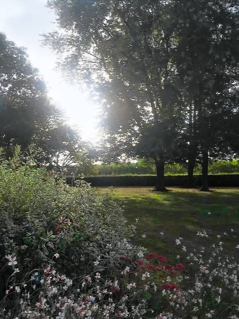 foto4