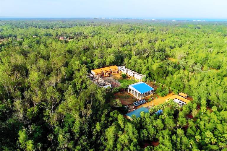 Paradise Auro Jungle Resort
