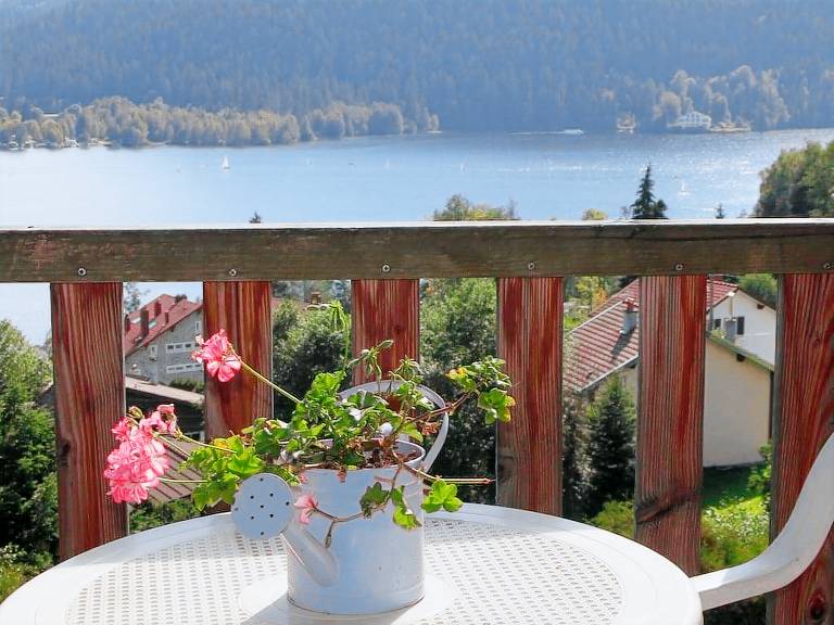 Appartement  Vagney