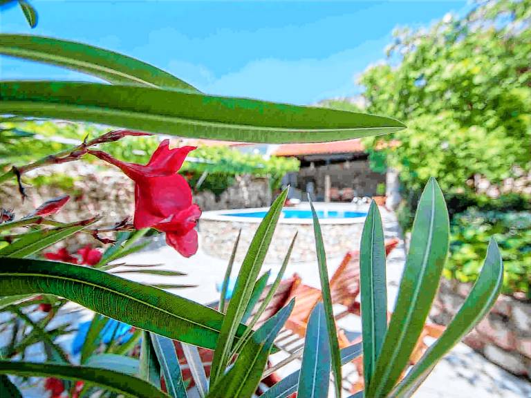 Big vacation home with pool, barbecue & terrace | Pets are welcome — photo 2