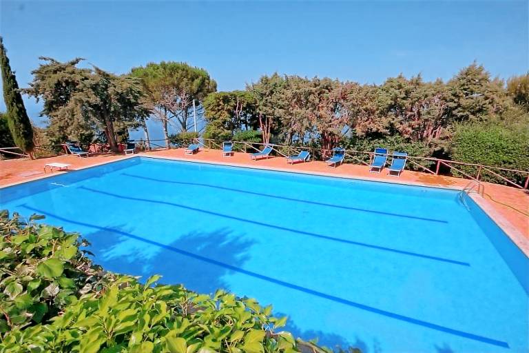 Rental apartment with pool & yard — photo 3