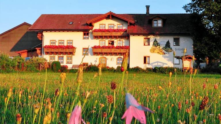 Ferienwohnung  Buchenau
