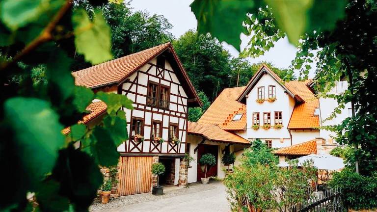 Ferienwohnung  Bad Bergzabern