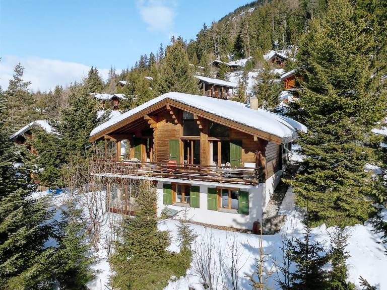 Fully equipped vacation home with patio & BBQ | Mountain view | Close to the ski | Pets allowed — photo 3