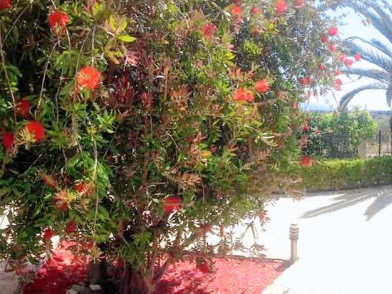 Ferienwohnung in Magoula, Euböa f&uuml;r max. 2 Personen