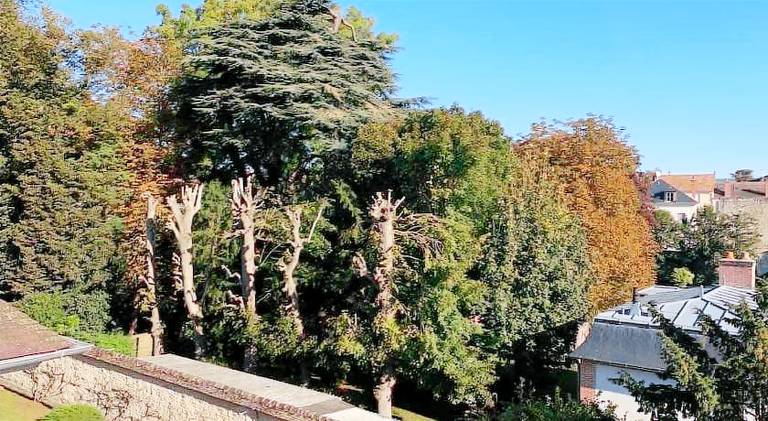 Charming rental apartment | Pets allowed in Fontainebleau