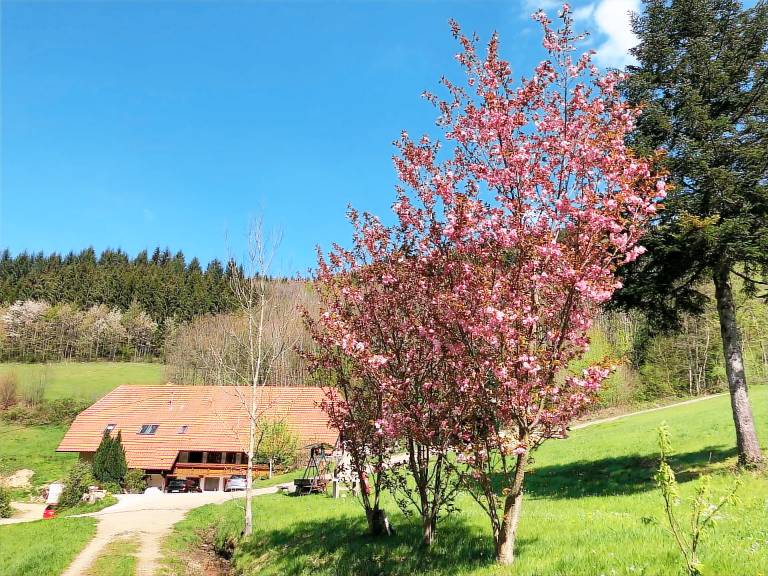Ferienwohnung Glottertal