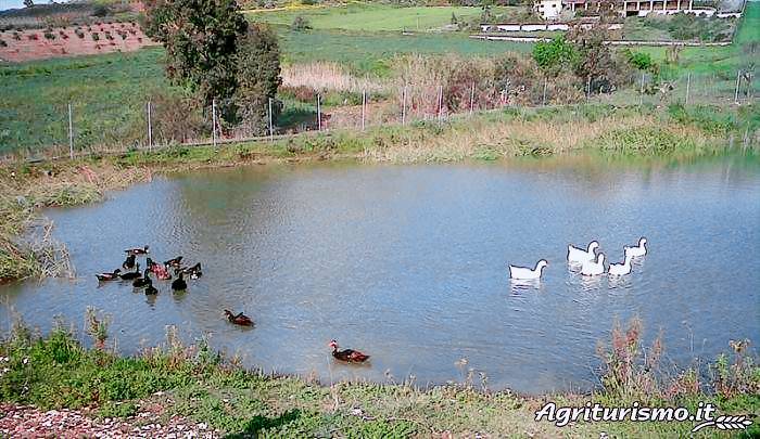 Fattoria Spezia: Gelsomino — photo 2
