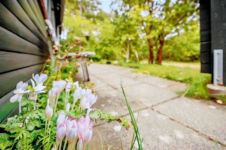 foto1