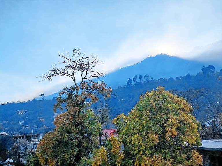 foto3
