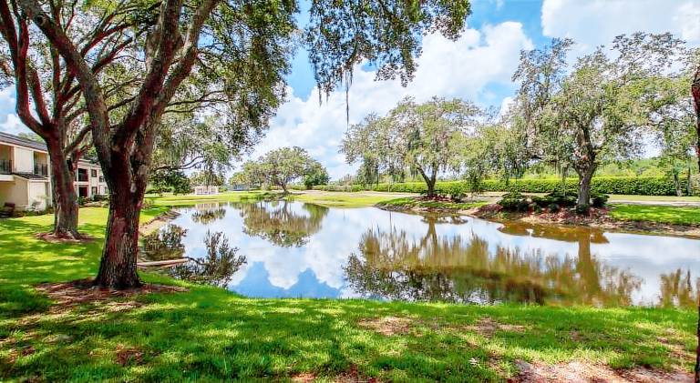 Vacation home | Dogs allowed in Wesley Chapel, FL