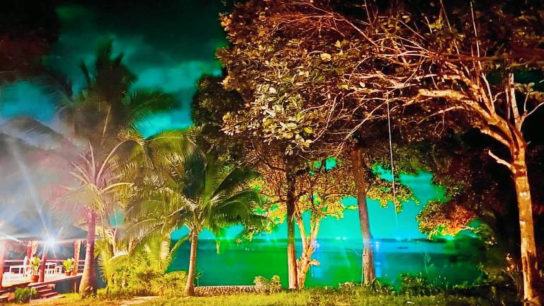 Banana Resort - Koh Phayam — photo 4