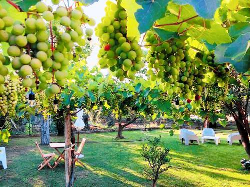 Agriturismo Larino