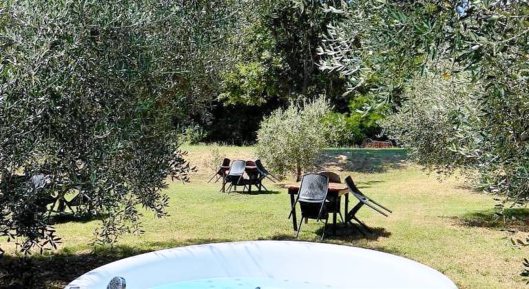 Beautiful farm with yard & jacuzzi | Dogs allowed — photo 3