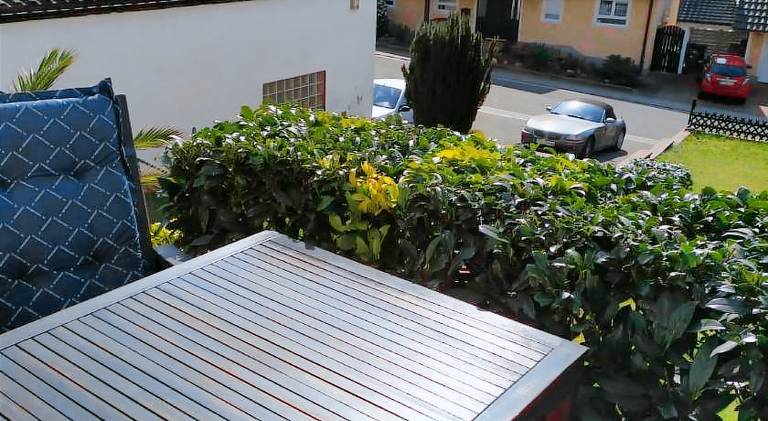 foto4