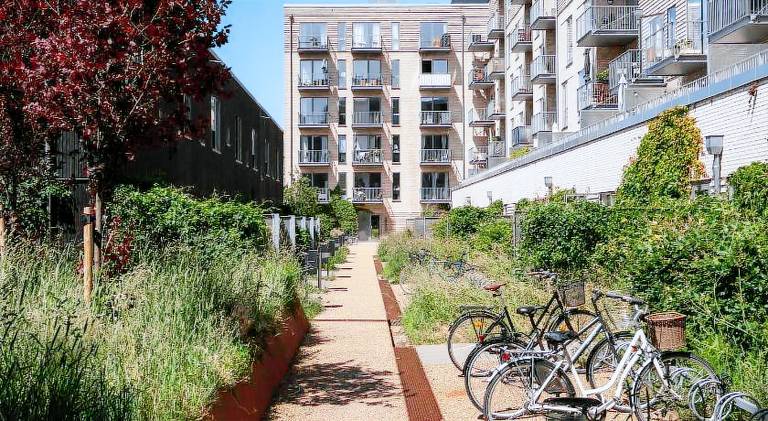 Rental apartment with terrace — photo 4