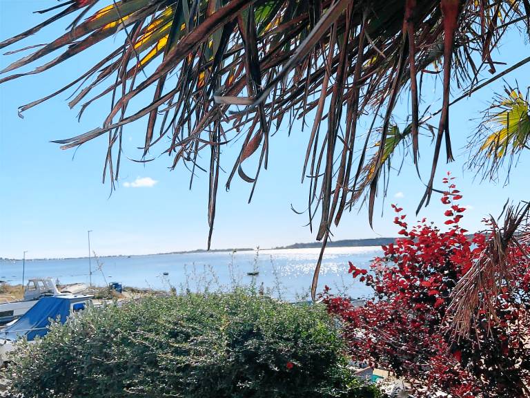House Sandbanks