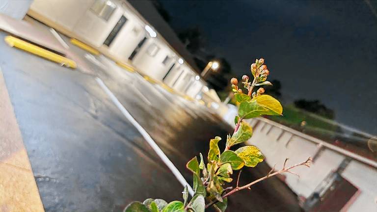 Richmond motel — photo 4