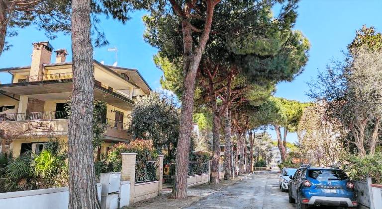 Apartment | Next to the beach | Dogs allowed — photo 3