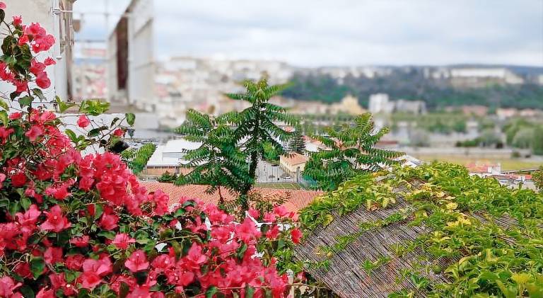 Holiday apartment | Near Monastery of Santa Clara-a-Nova | Pets are welcome — photo 4