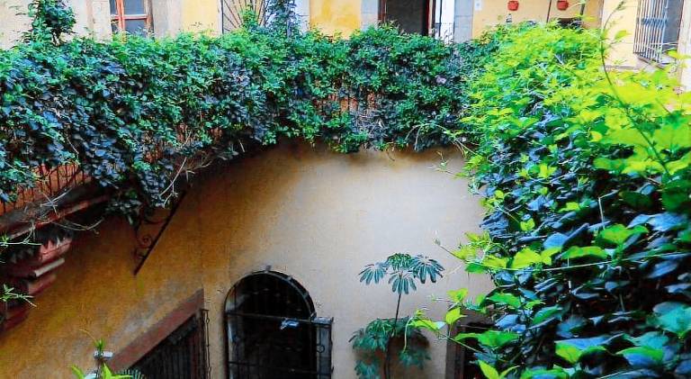 Lele Panchito y Lavanda Juntos en el Centro in Querétaro