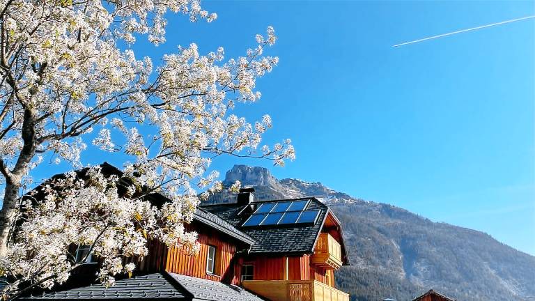 Ferienwohnung Gemeinde Altaussee