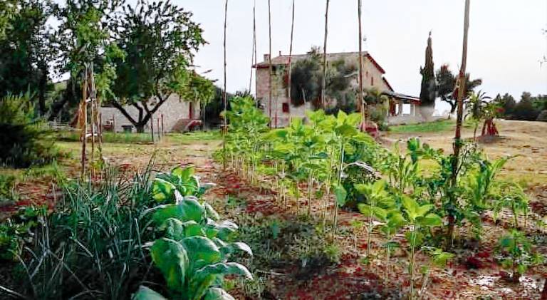 Casa rural restaurante Mas Del Rei in Teruel