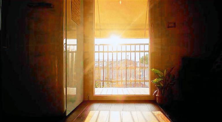 Pleasant holiday apartment | Pets allowed — photo 5