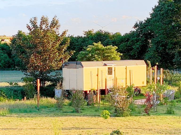 Tinyhouse Goldie