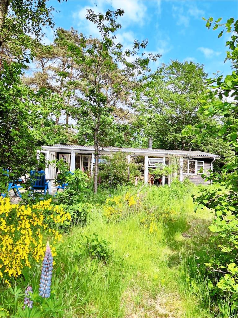 Children-friendly pleasant vacation home with terrace | Pets are welcome — photo 3
