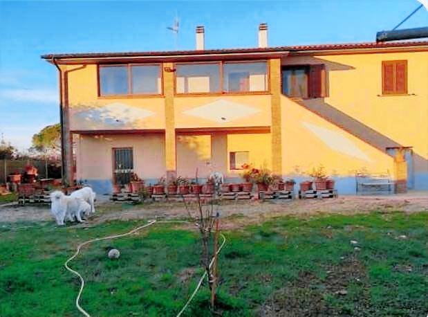 Apartment with 2 rooms for 5 persons in Piombino