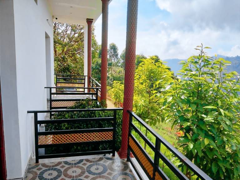 House with garden — photo 4