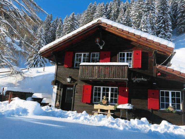 Ferienwohnung Adelboden