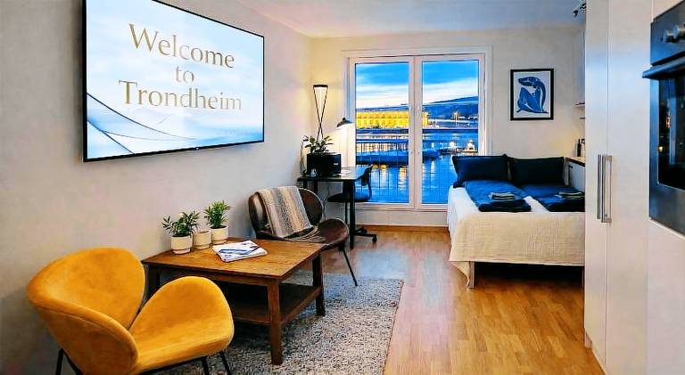 Beautiful rental apartment | Pets are welcome in Trondheim