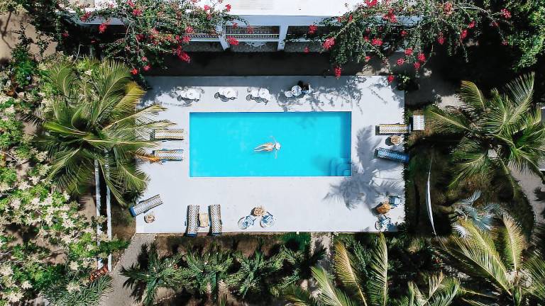 Hostel Palomino