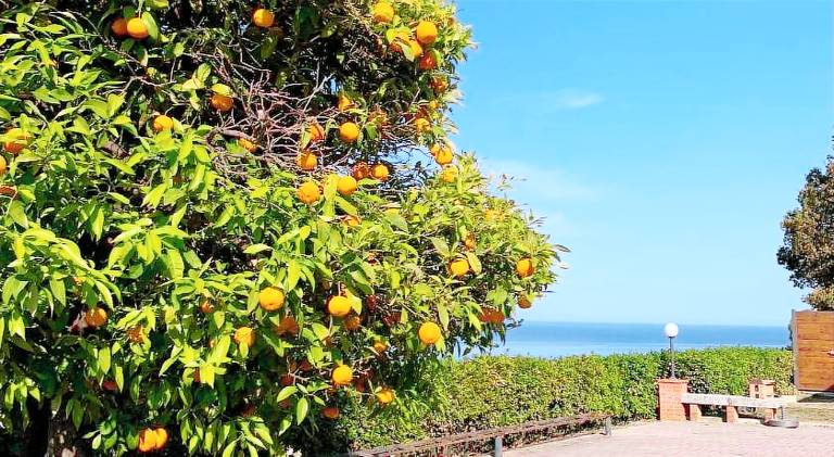 Rental apartment with 1 room for 4 persons in Porto San Giorgio