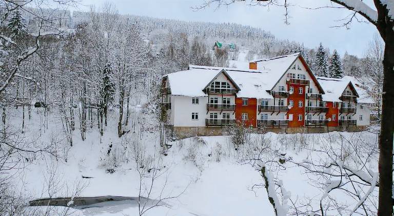 foto1