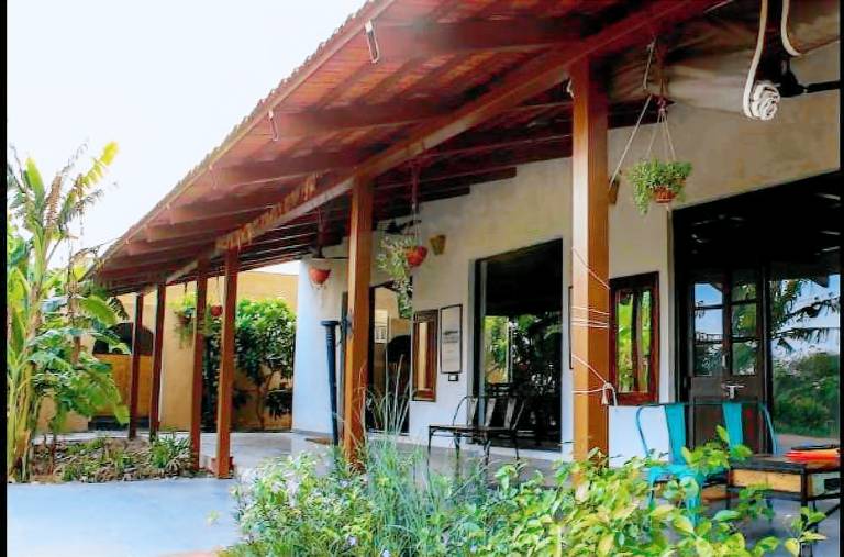 Mahua Tola Tadoba